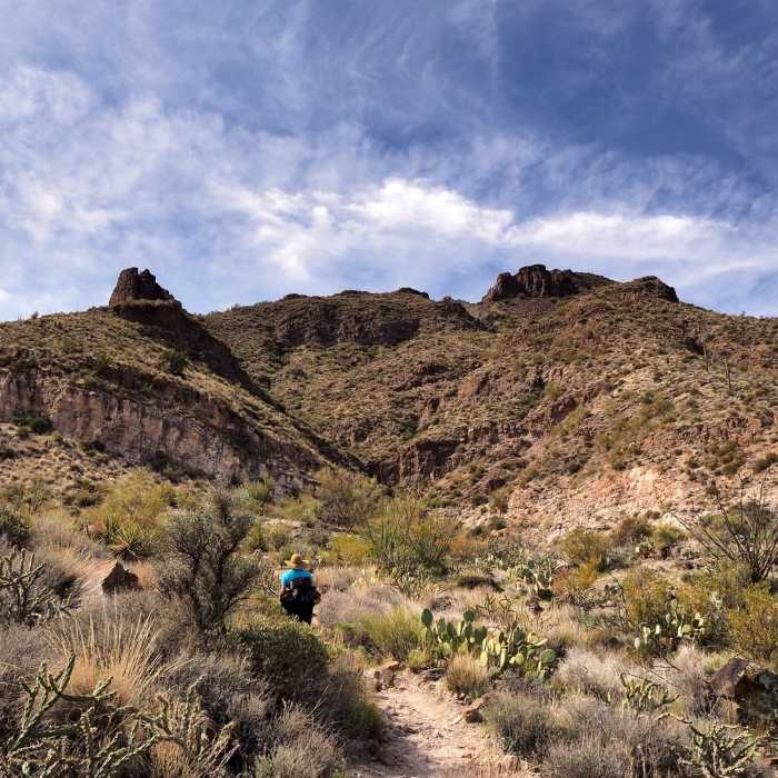 Along the Elephant Mountain Trail Near Elephant Mountain Trail