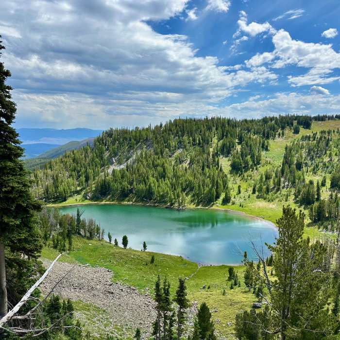 Near Continental Divide Trail: Montana-Idaho Section 14