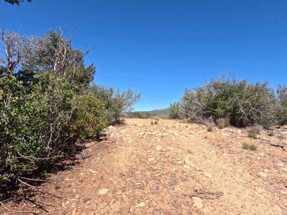 BLM 73H photo 4