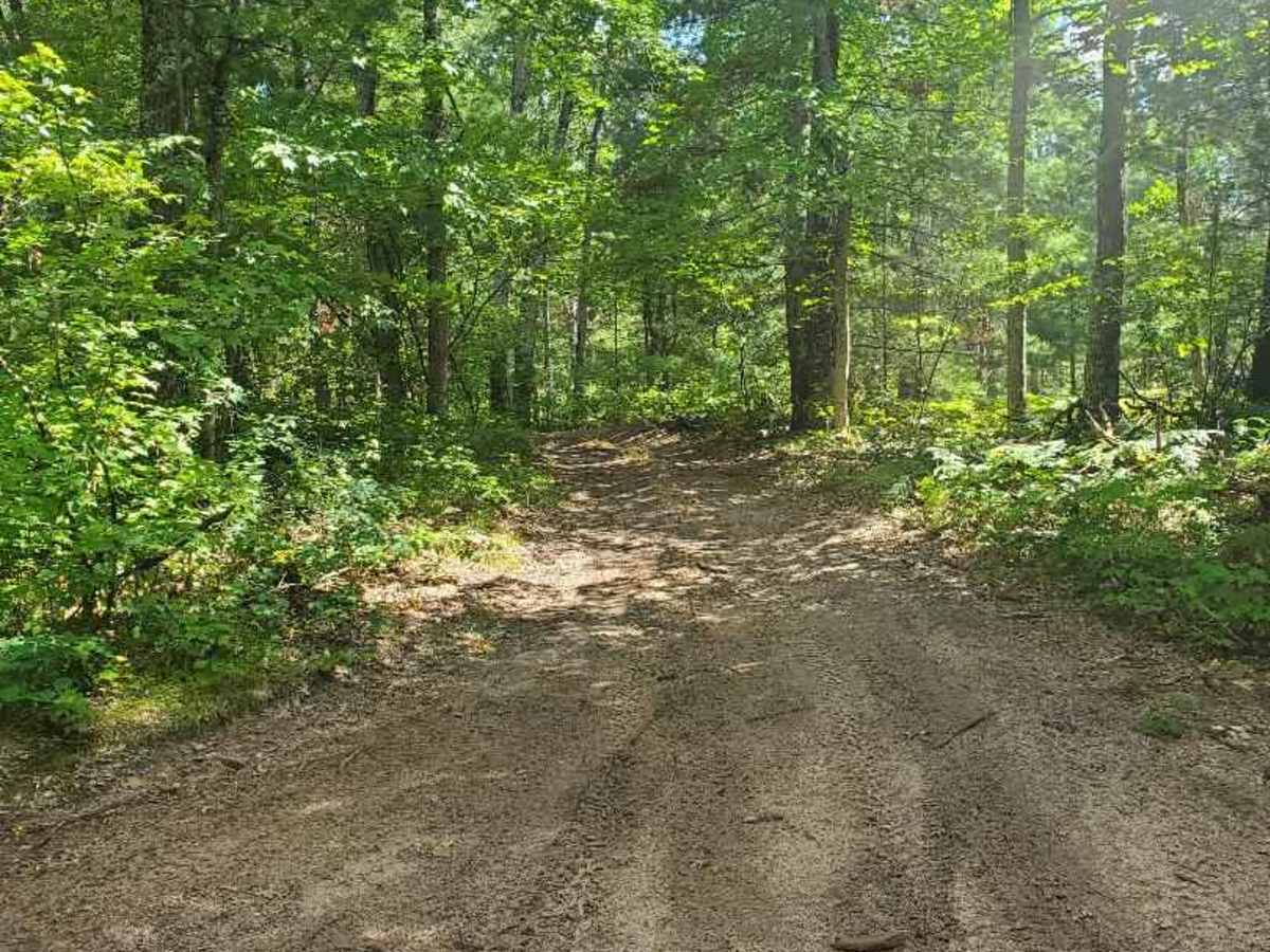 Inner Dogman Trail photo 3