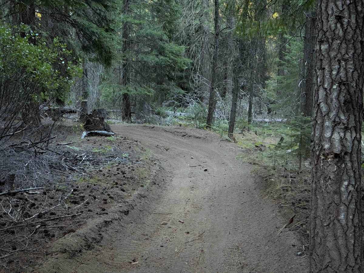 Boring Trail   photo 3