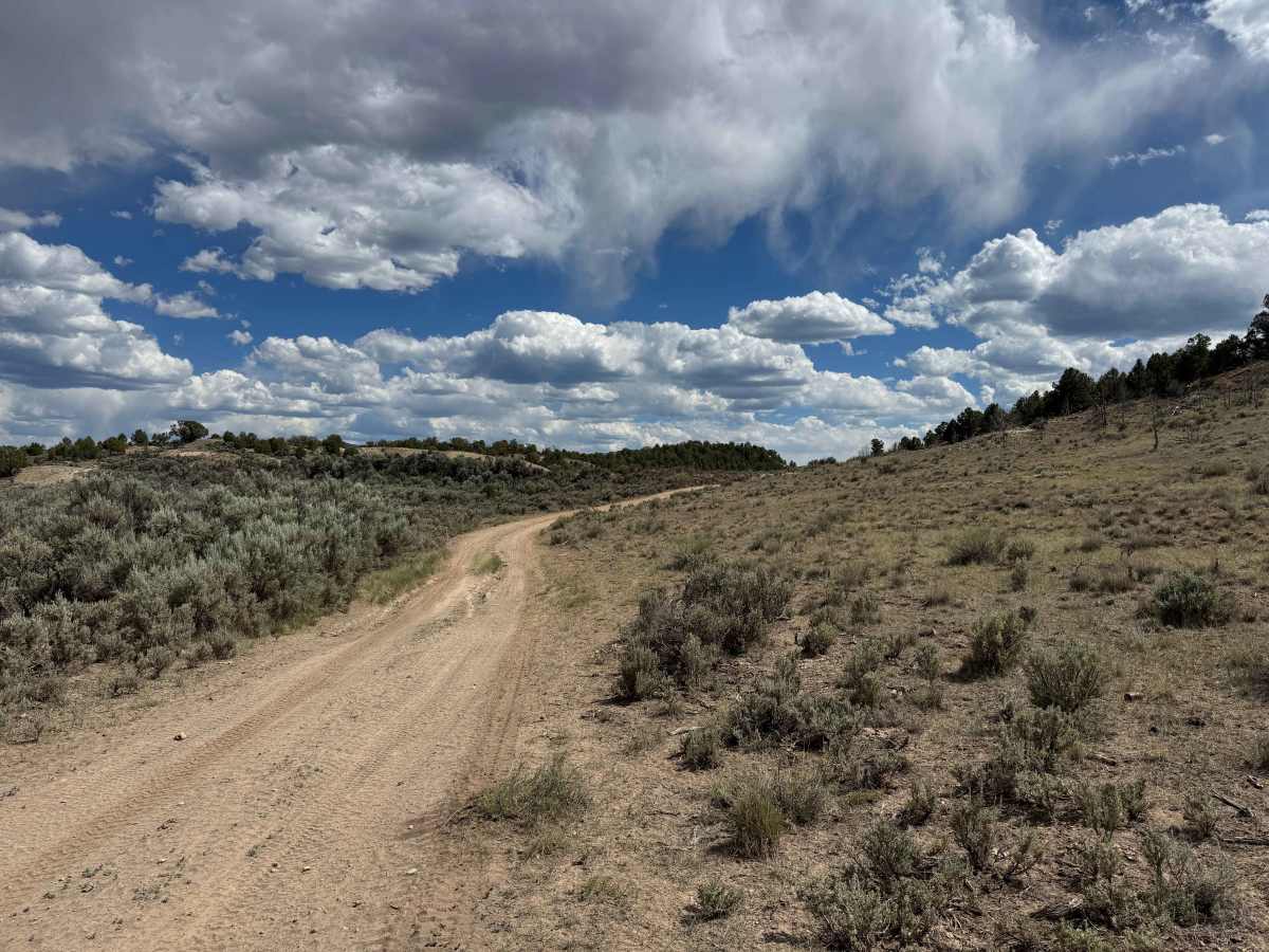 BLM 8461 trail photo