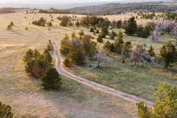Sullivon Spring Road