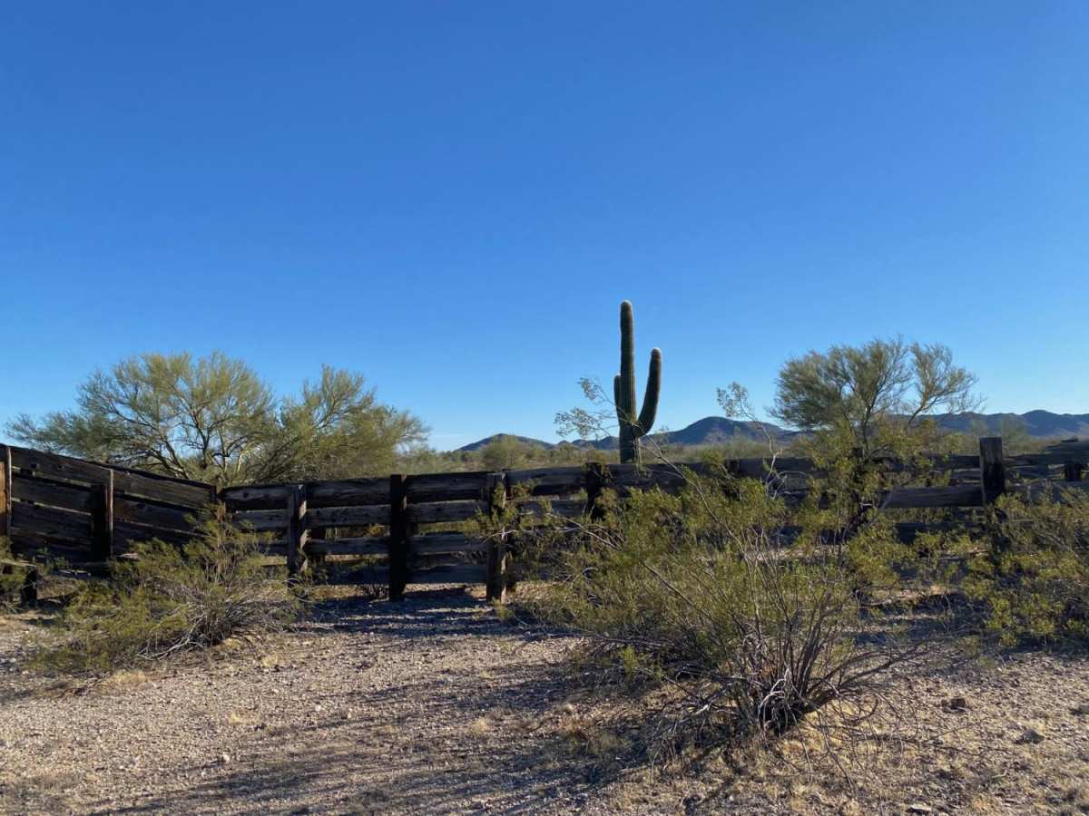 Sonoran Desert 8009 photo 5