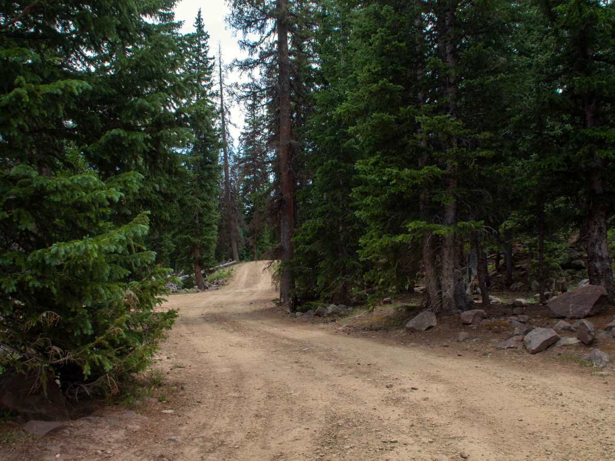 Paradise Park Reservoir Access - FS 10752 photo 3