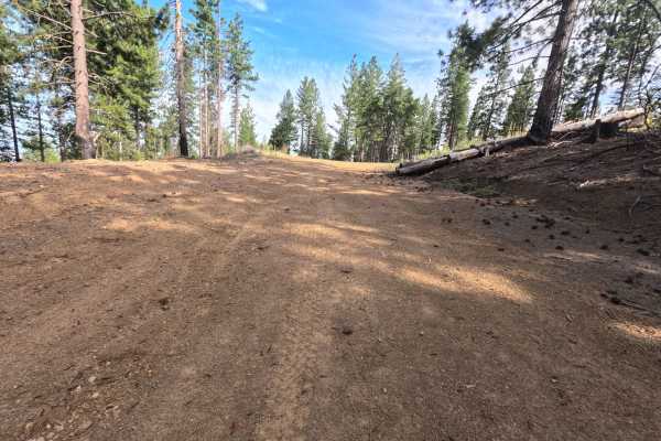 Ball Rock Ridge - FS 24N41