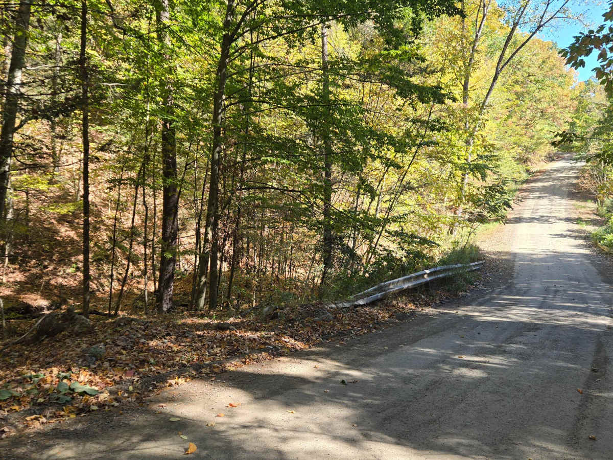 Middle Road trail photo