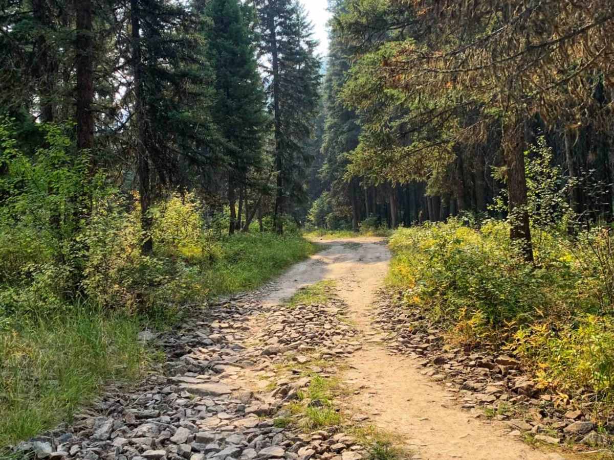Gold Creek Trail photo 6