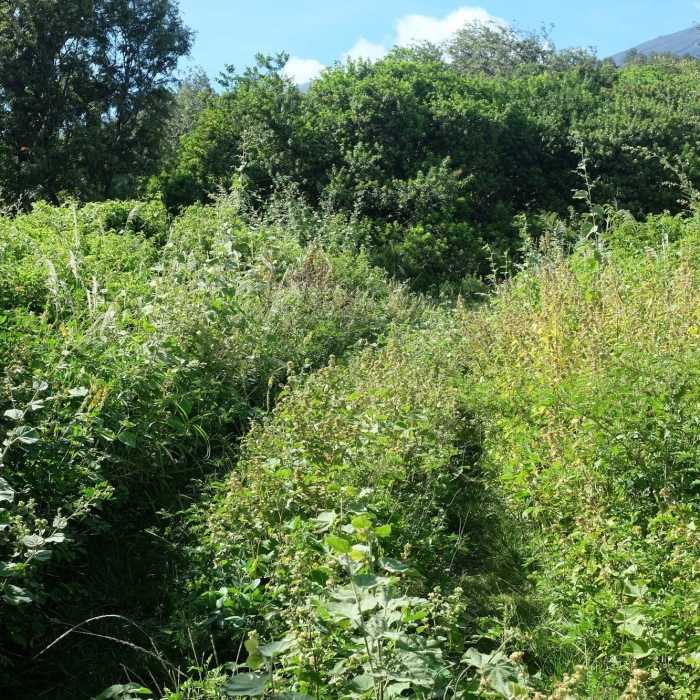 Near Kaupo Trail