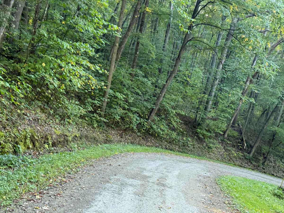 Old State Road - FS 157 photo 4