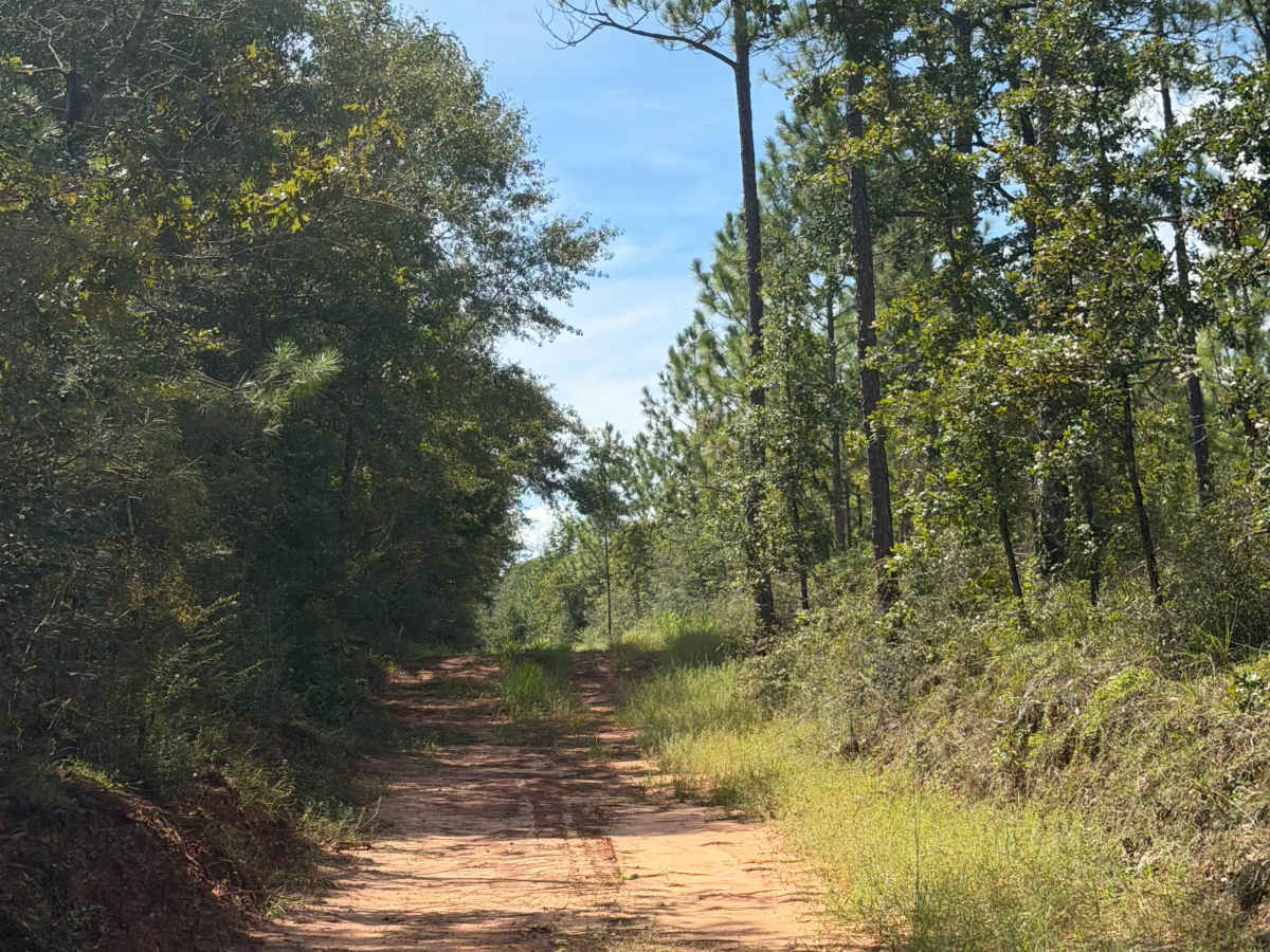 Beaver Creek Road R74 photo 3