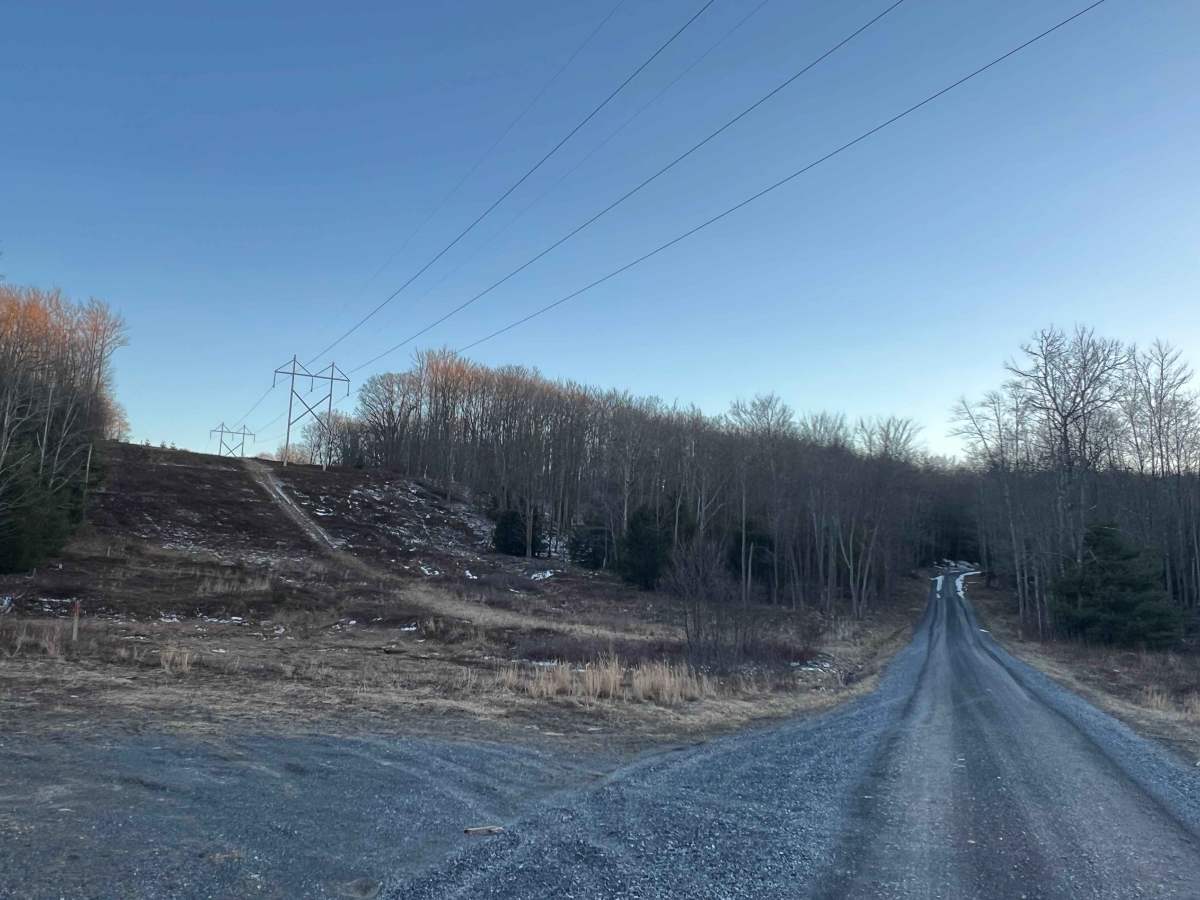 Laurel Run Road photo 4