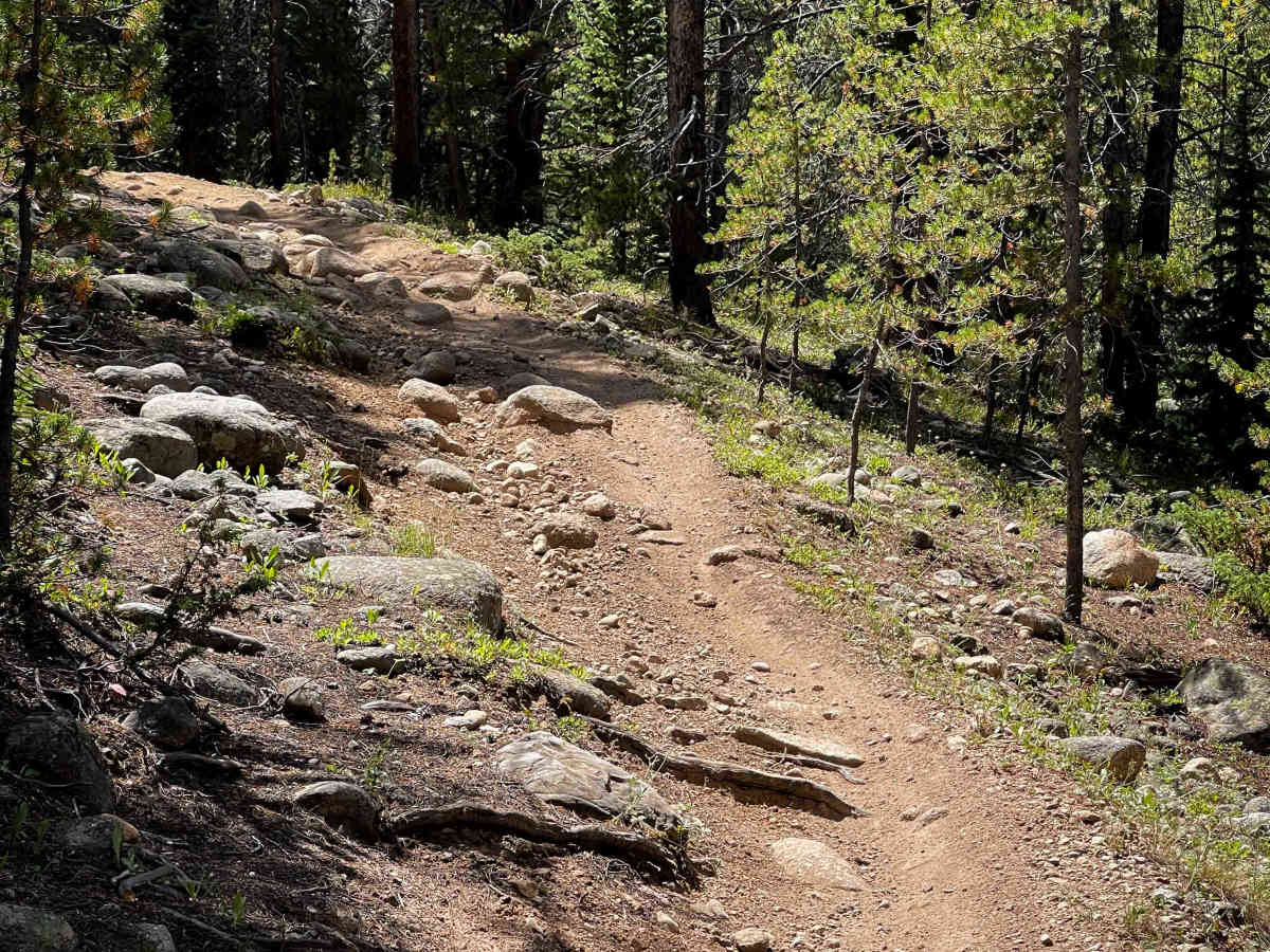 Lily Pond Trail photo 6