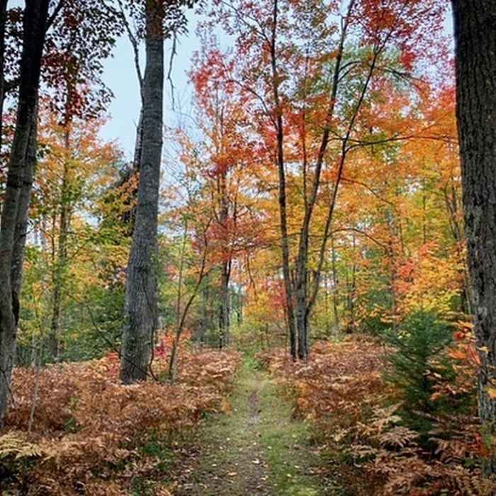 Near Mason Tract Pathway