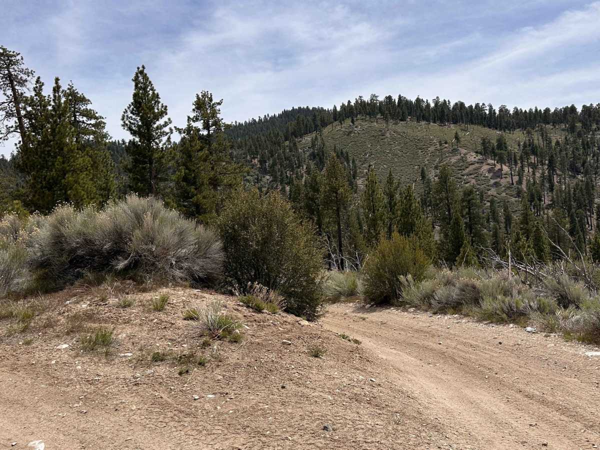 Upper Holcomb PCT trail photo