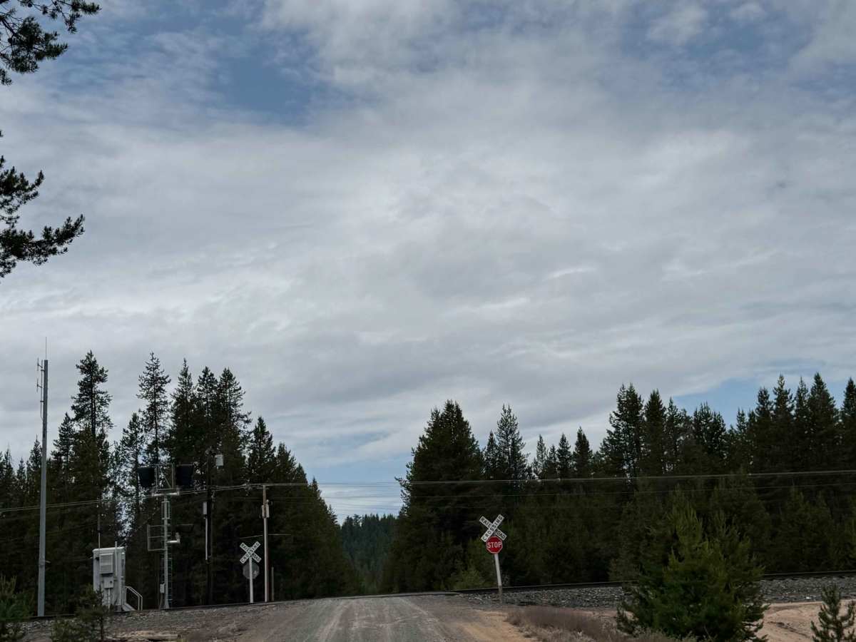 Corral Springs Road - FS 9774 photo 3