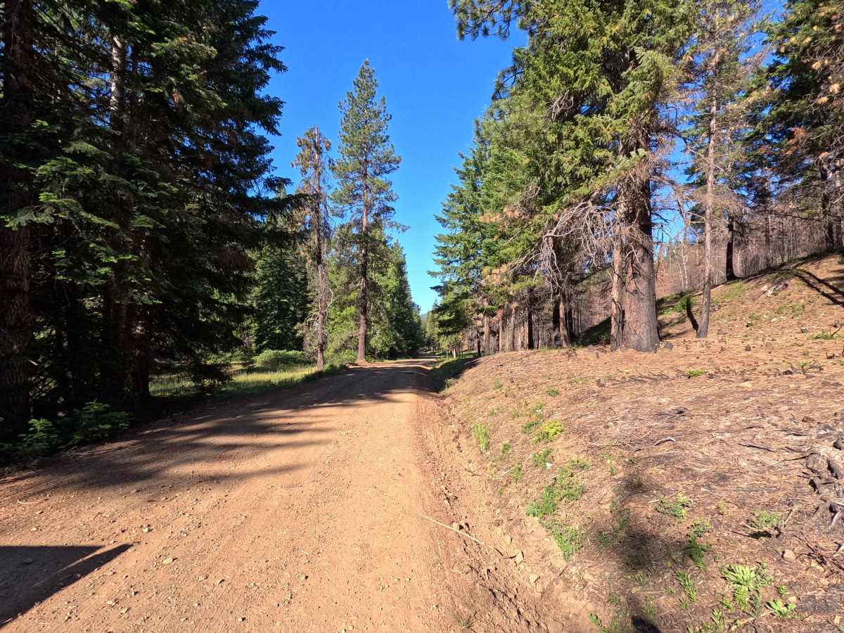Stafford Creek Road - FS 9703 photo 4