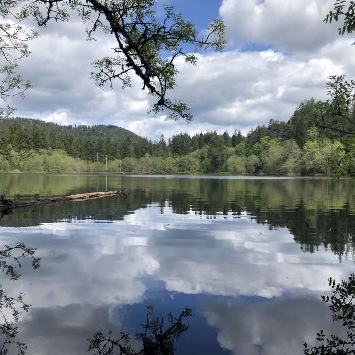 Near Puget Power Trail