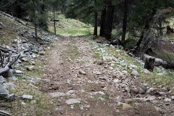 Schofield Canyon Trail - FS 5007A