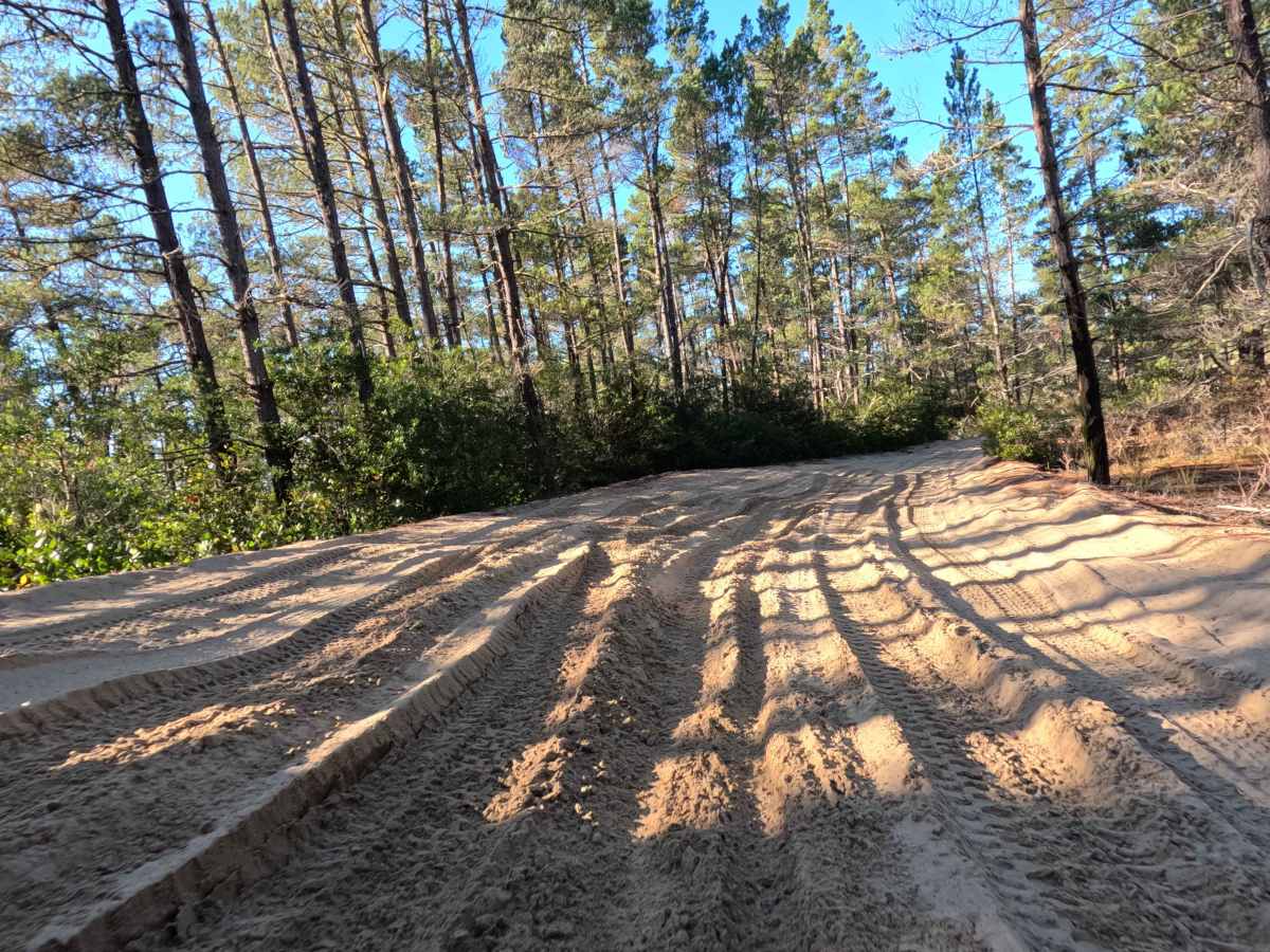 Hauser OHV Trail - 1341 photo 3
