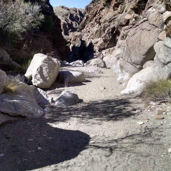Upper Burro Mesa Near Upper Burro Mesa Pour-Off Trail