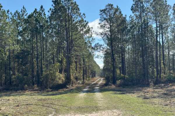 Clay Hill Road