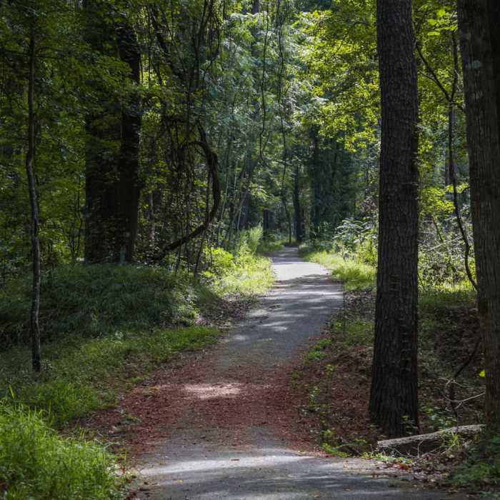 Near Green Creek Trail Near Green Creek Trail
