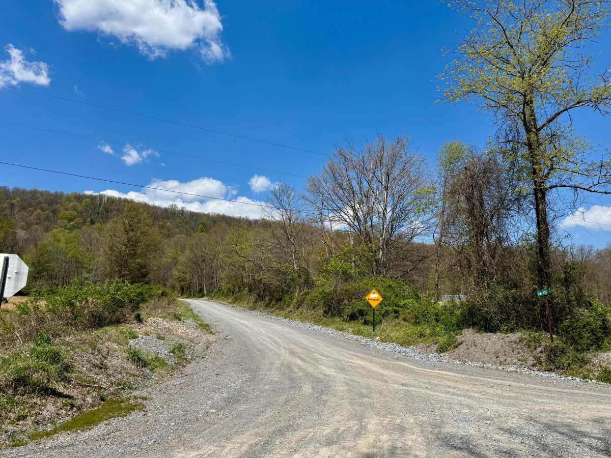 Wynn Gap Rd trail photo