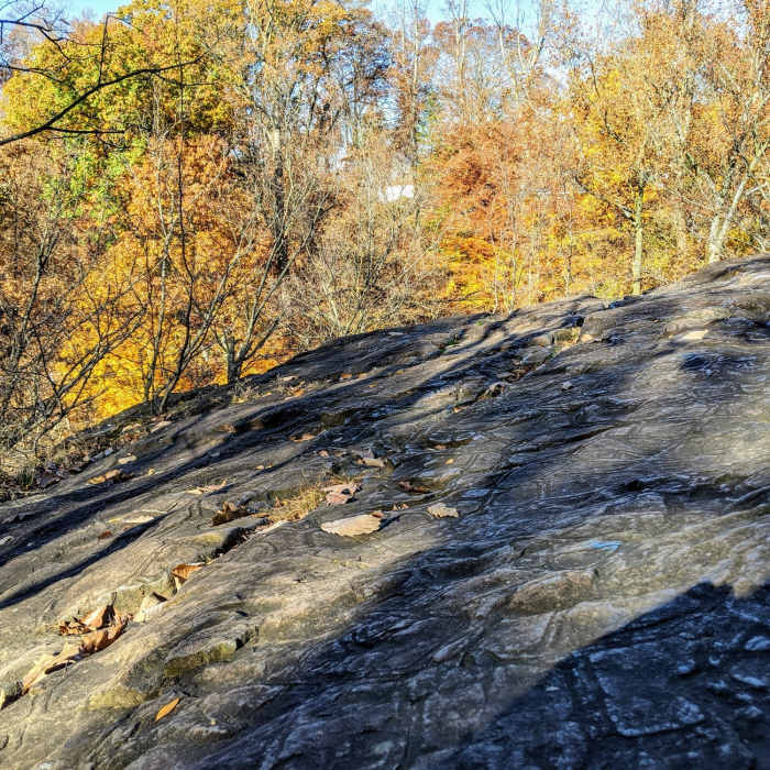 Near Interpretive Trail