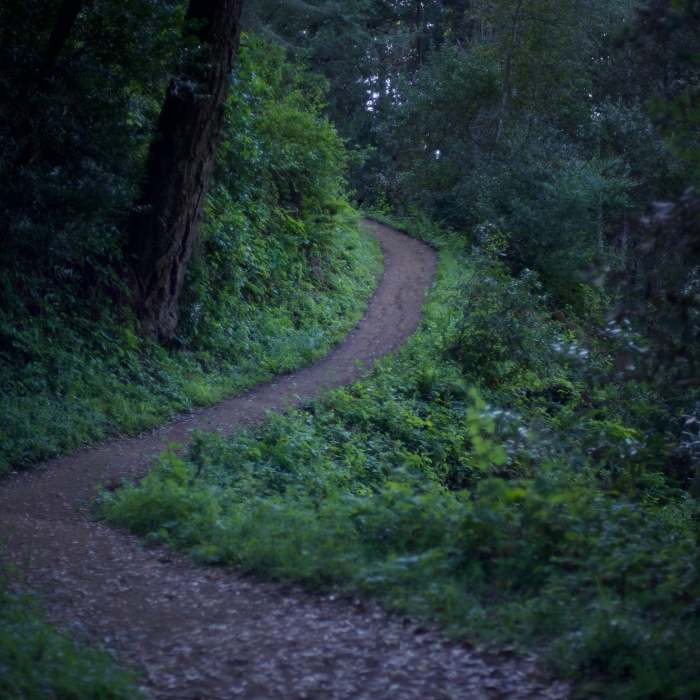 Near Lost Trail
