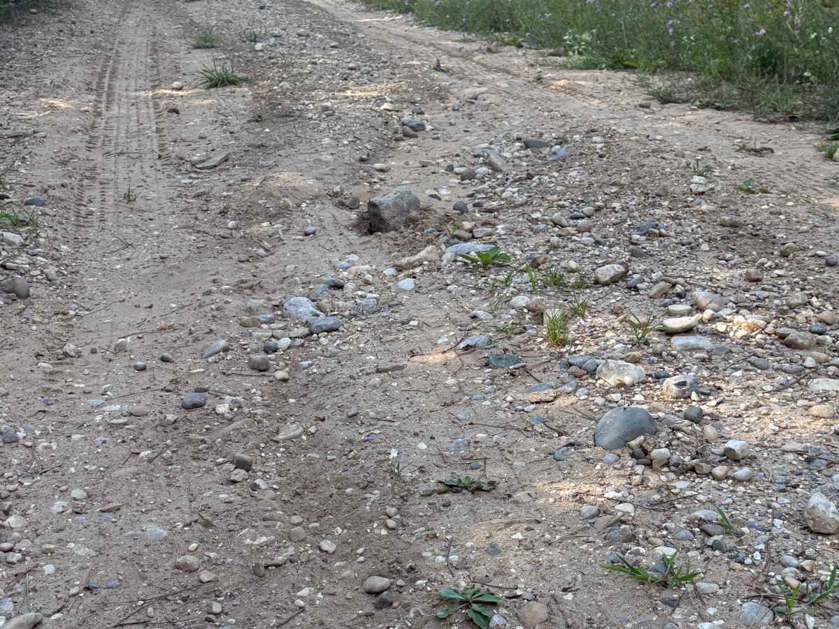 Pine Ridge Trail photo 5