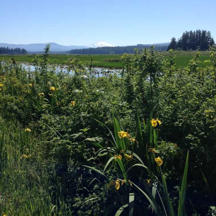 Near Silver Lake Wetland Haven Trail