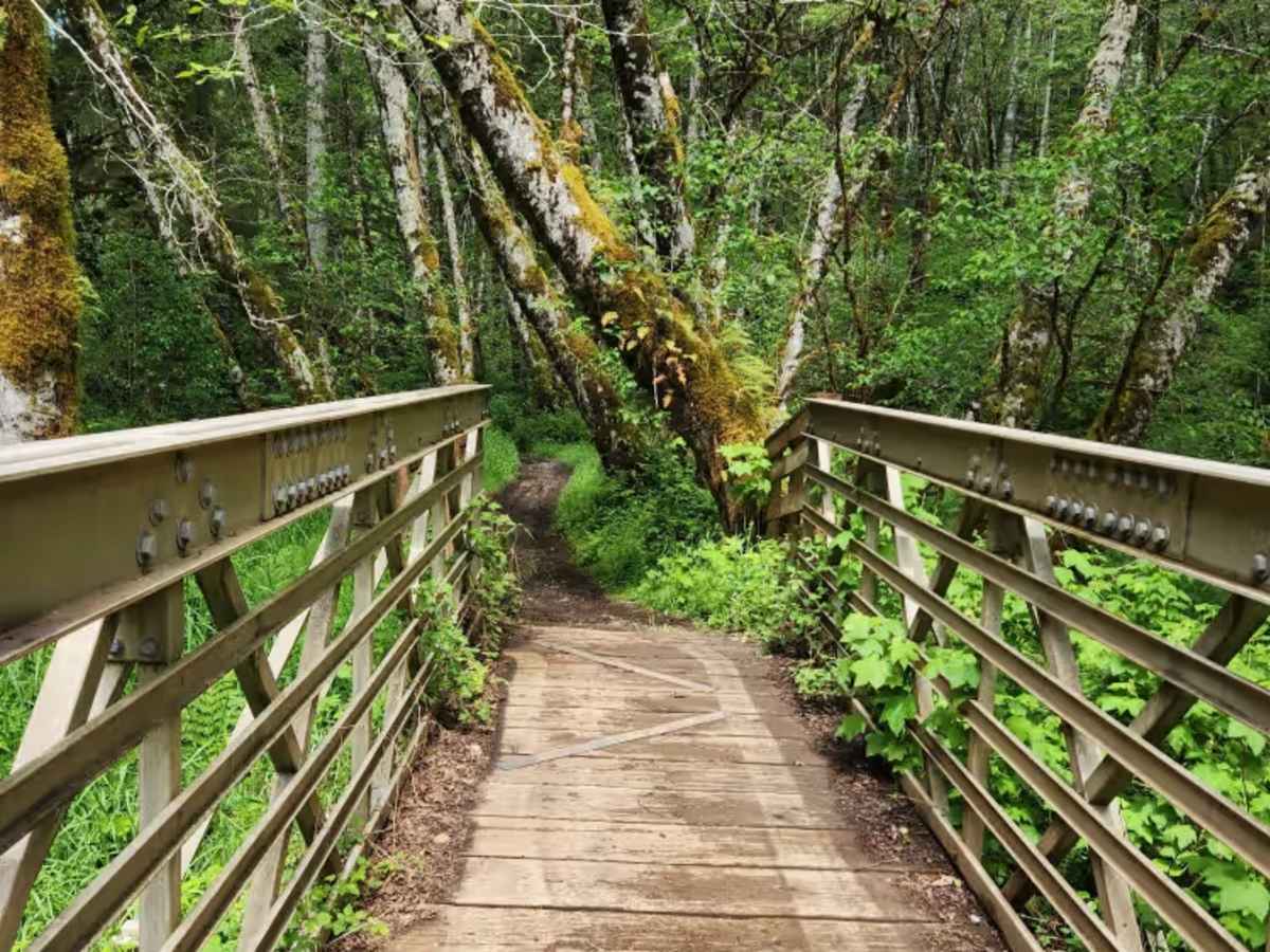 North Rim Trail #3 photo 6