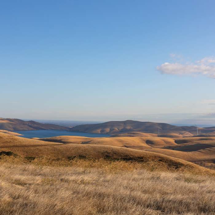 Near Black Hills Trail