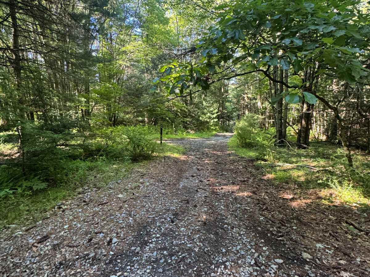 South Access Trail photo 5