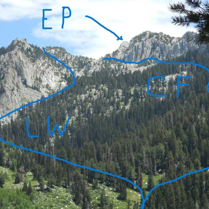 Near Lone Peak via Cherry Canyon Logging Trail