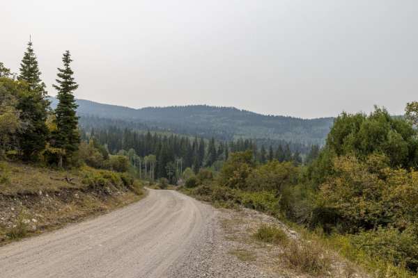 Willow Creek Road