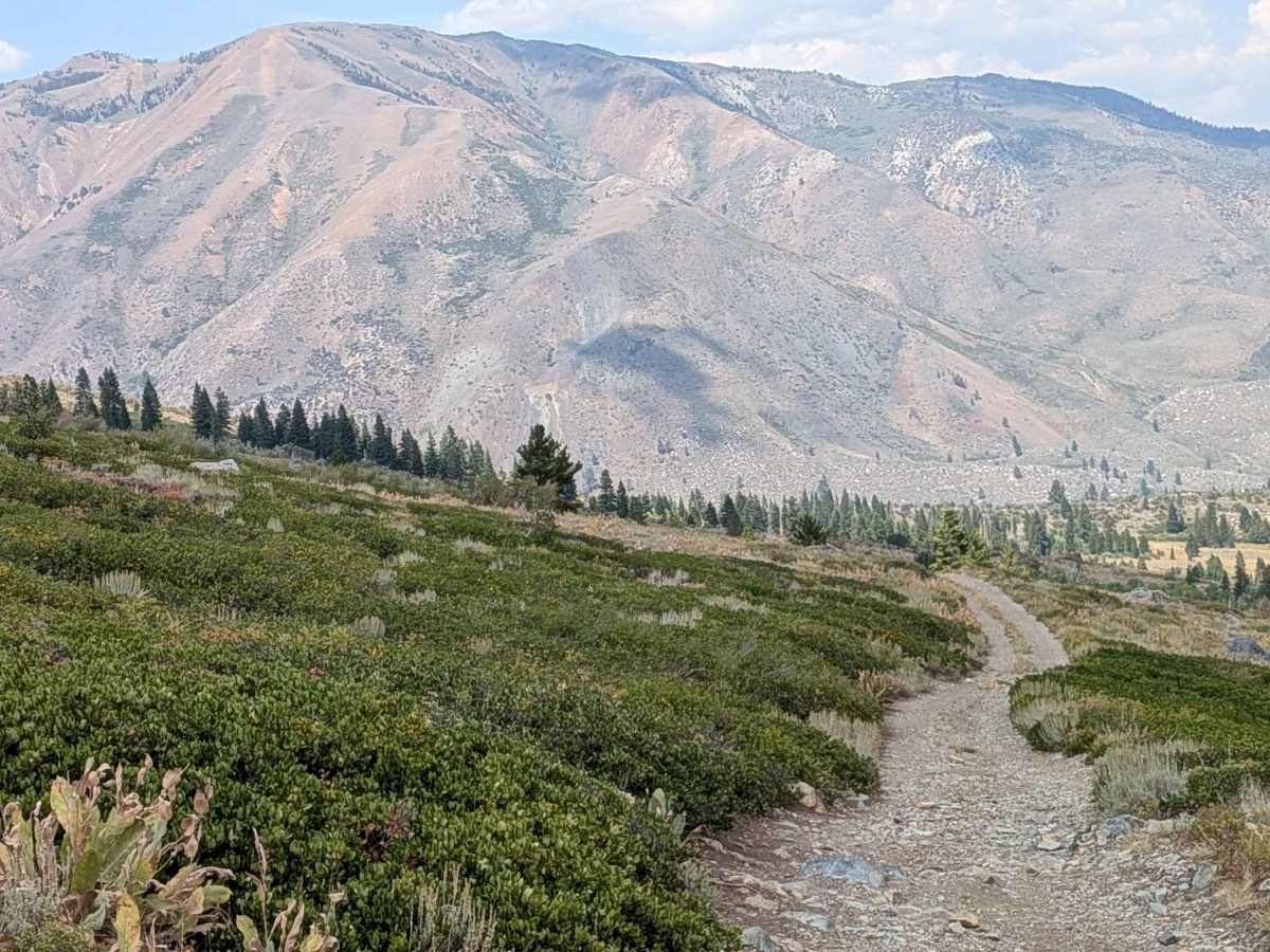 Upper Summer Meadows Road - FS 32144 trail photo