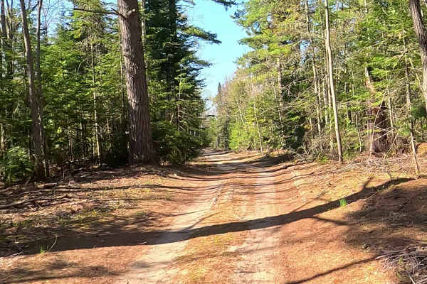 North Beaver Road - East