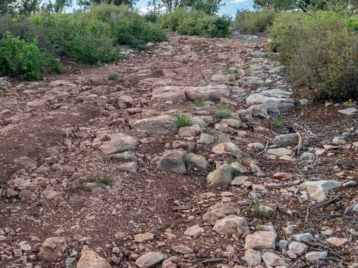Cedar Mesa - FS 322 photo 6