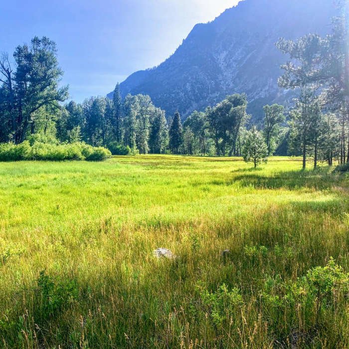 Near Roads End to Simpson Meadow