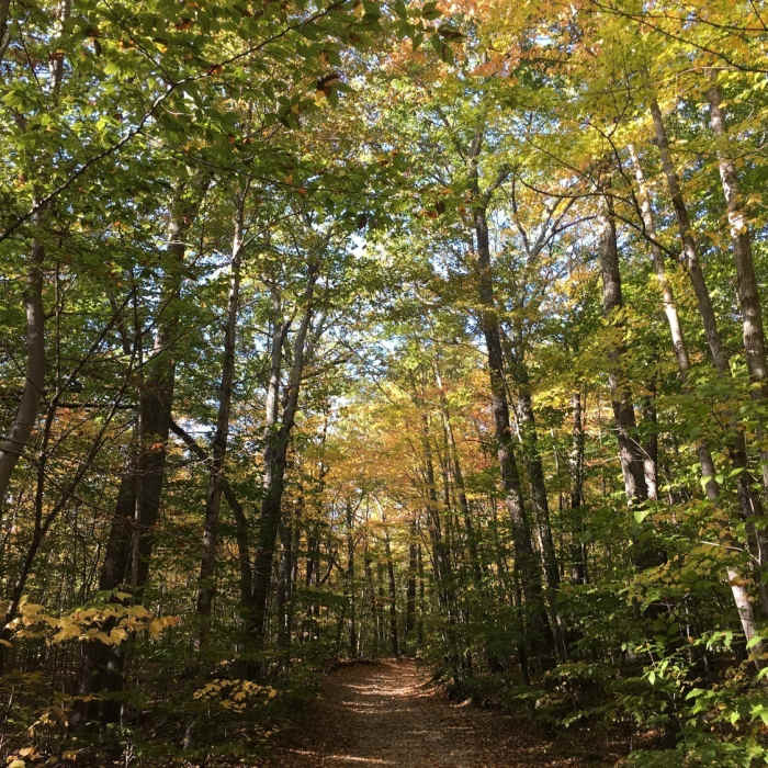 Just starting off. Near Devil's Den Mountain