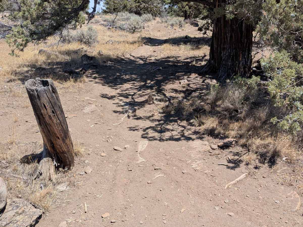 Cline Buttes OHV Trail 20 Loop photo 5