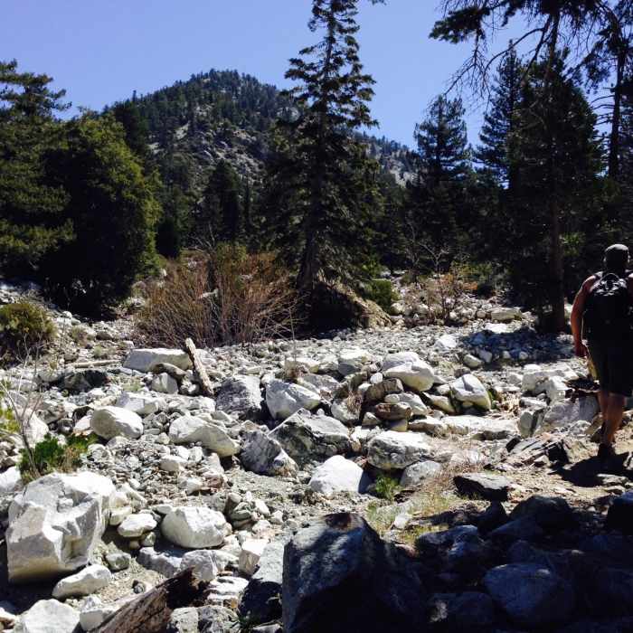 Near Timber Mountain