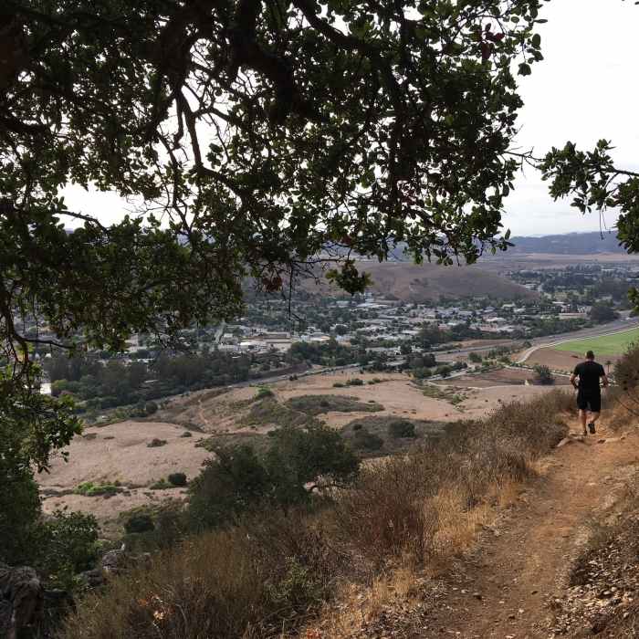Trail runner Near Lemon Grove Loop