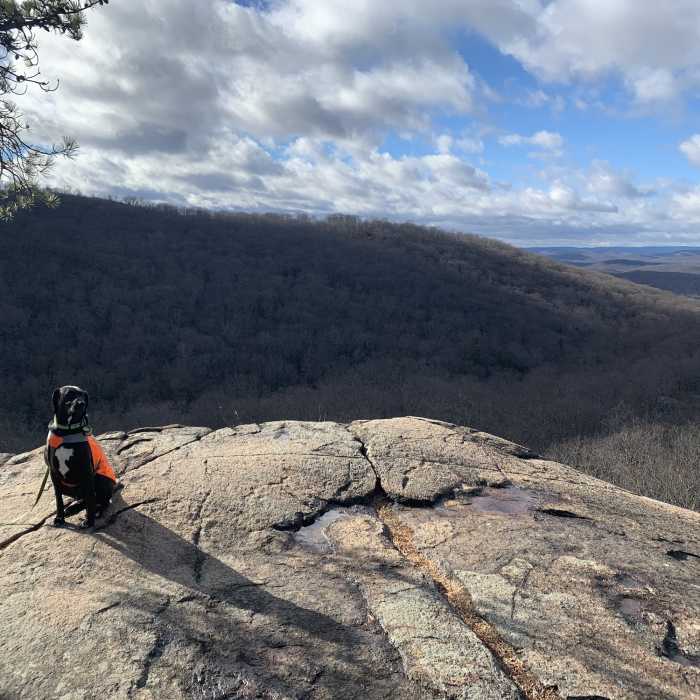 Near Tuxedo - Ramapo Torne - Dutch Dr loop