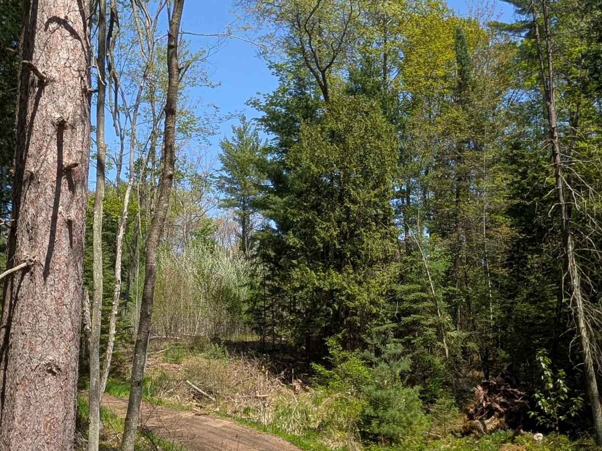 Emerson Trail photo 5