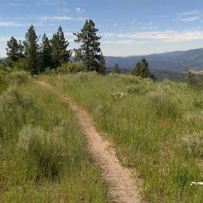 Near Airline Trail #038