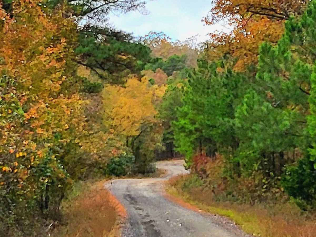 Cedar Creek Trail photo 2