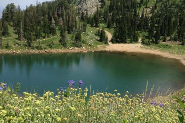 Smith Lakes